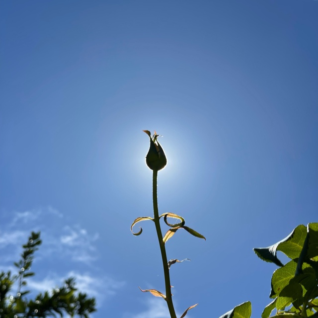 I am really happy and will regard people who want to help me as&nbsp;teacher