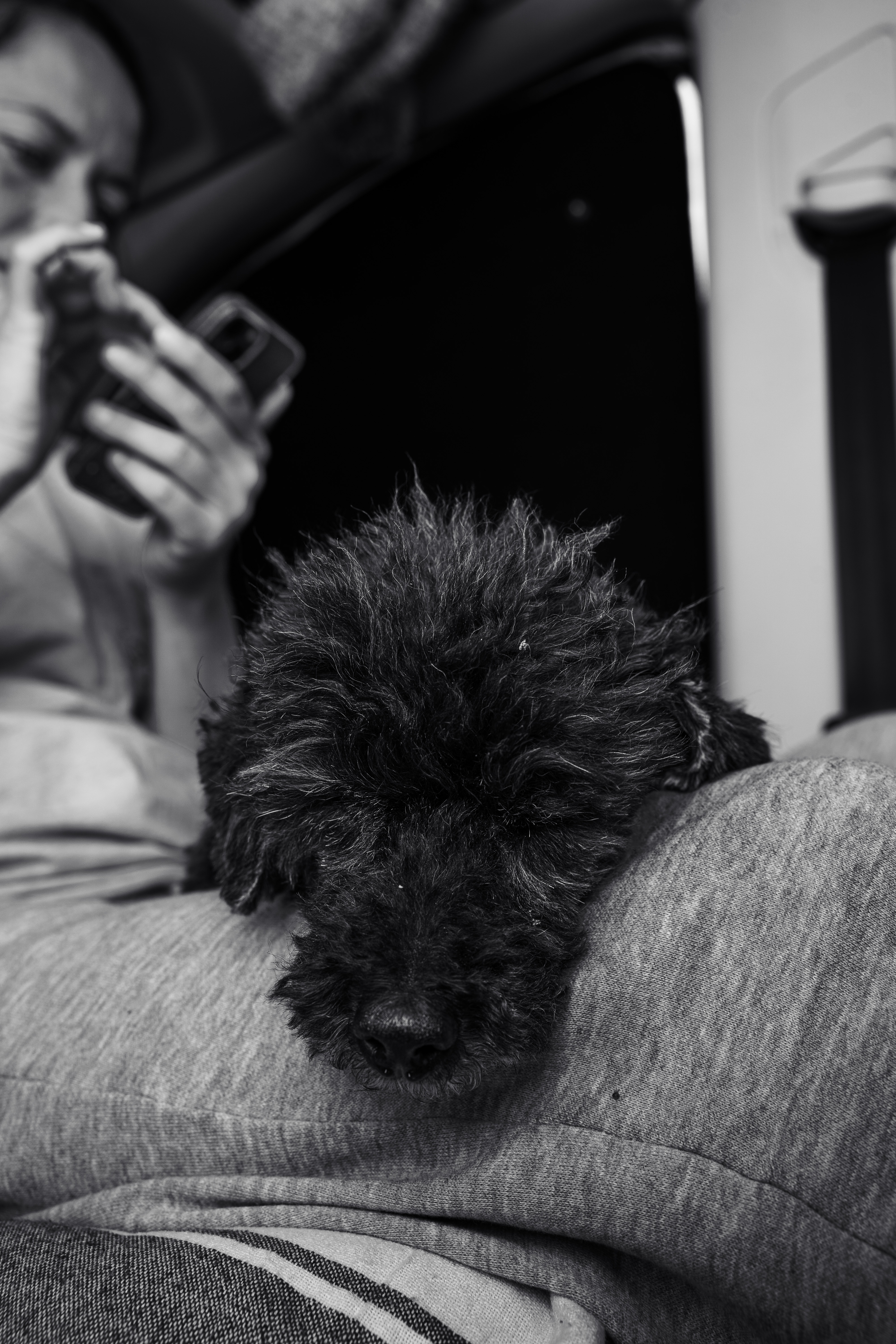 I [Vendula] still love[s] sharing my life story, my encounters, and letting people learn from my mistakes—but now I want to do it more consciously, for people who genuinely care rather than those just killing time while scrolling