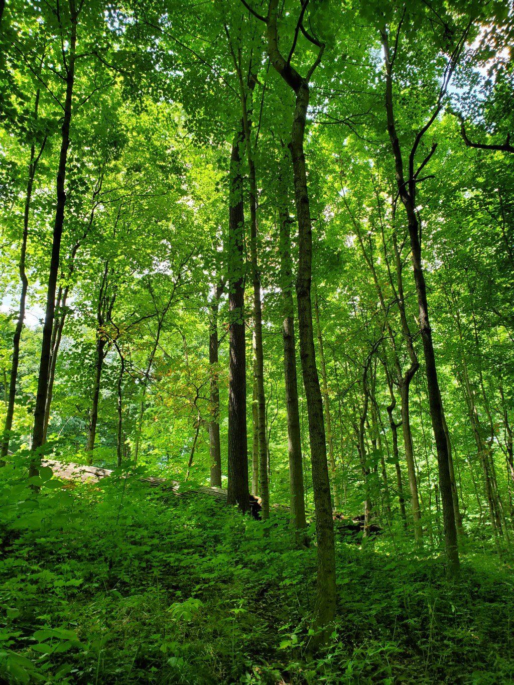 I want to know what rings true and what doesn’t; I want to know how the churches differ and how they’re the same; I want to know the core of what theologians have studied for a millennia or&nbsp;two!