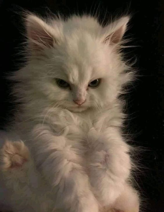 I know that the choices I make now will have a big impact on my future, and I want to make sure that I’m making the right ones