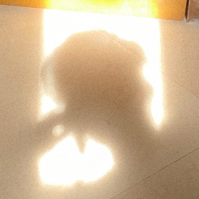 I want to do all the things that could bring out the productive person in&nbsp;me