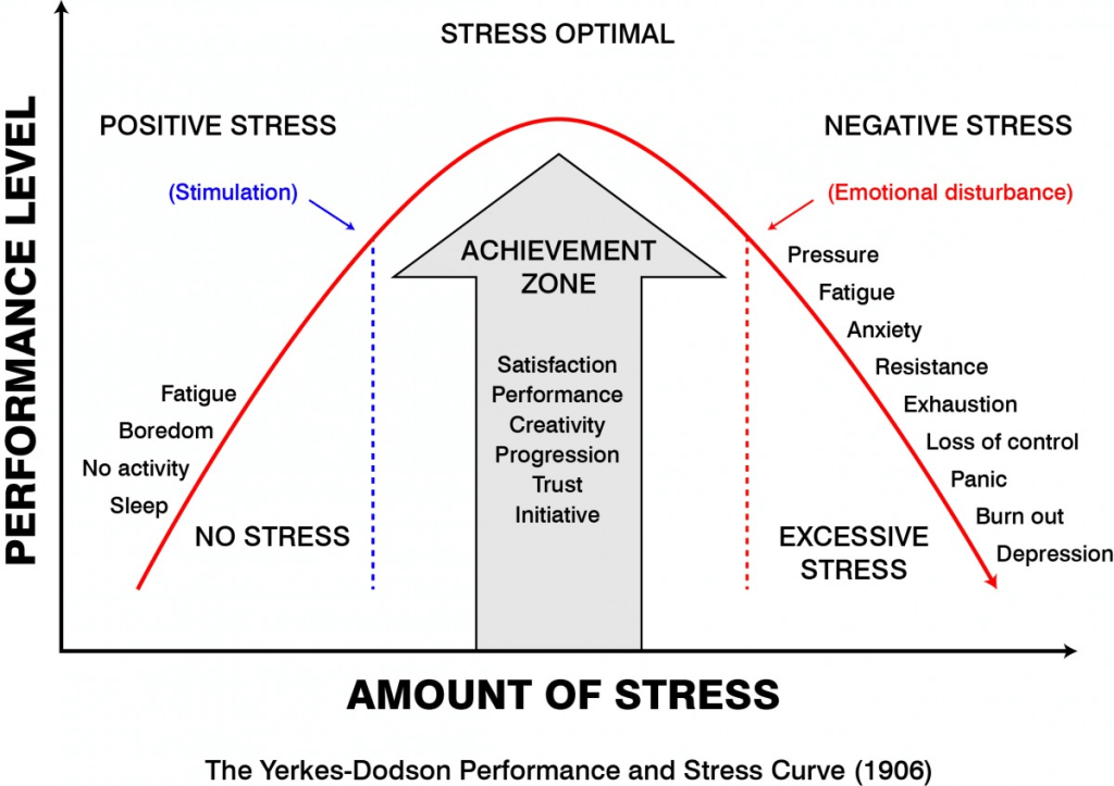 I Want to Improve My&nbsp;Stress