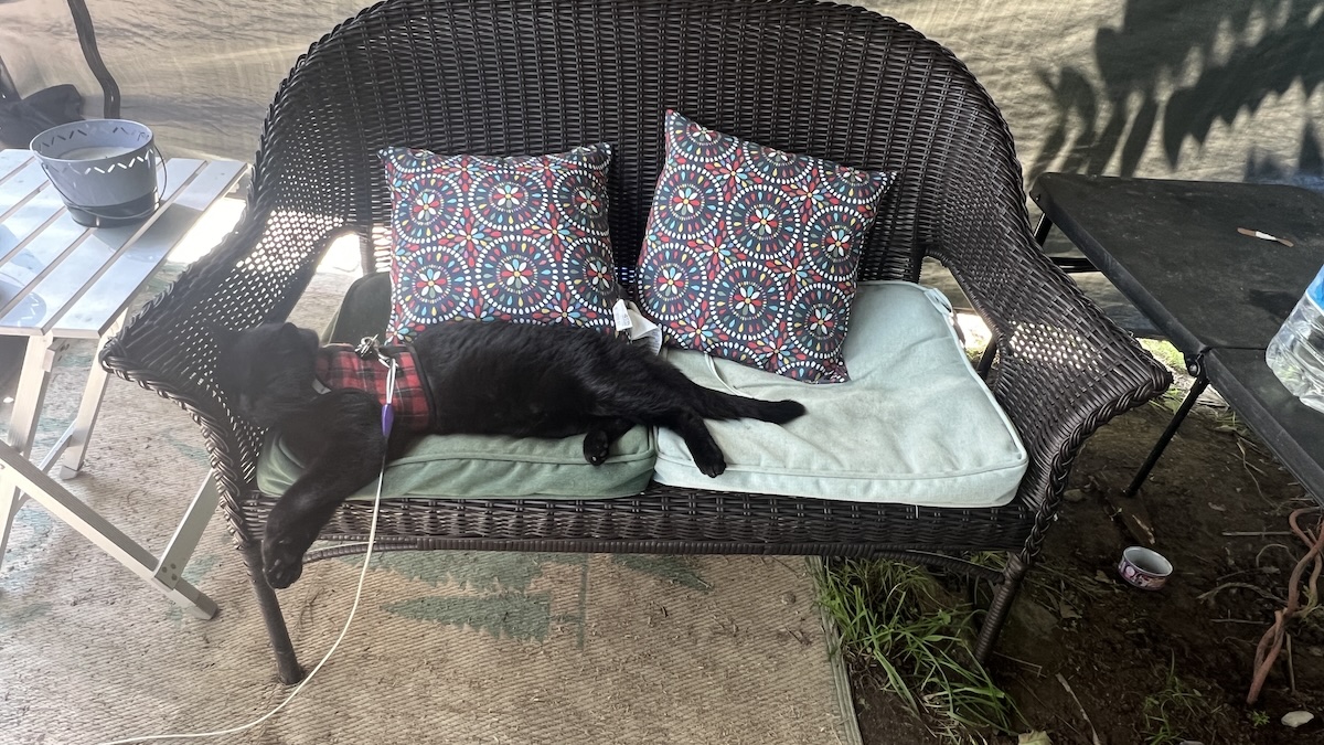 It was fun, scenic, and definitely a route I want to take Melissa on at some point