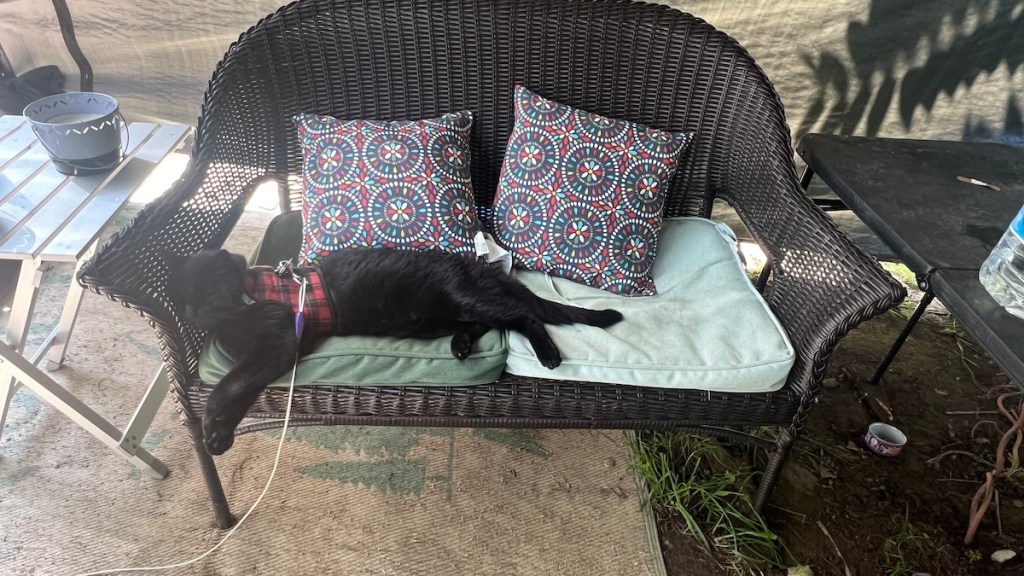 It was fun, scenic, and definitely a route I want to take Melissa on at some&nbsp;point