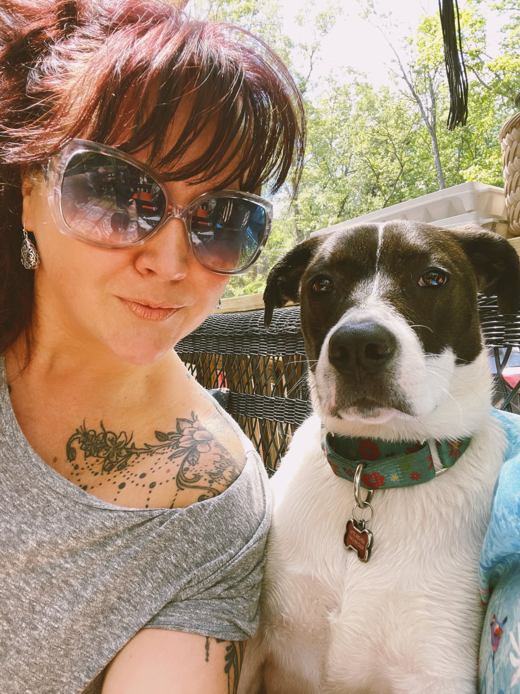 If a single word could capture all that I want for my future it is&nbsp;*simplicity*