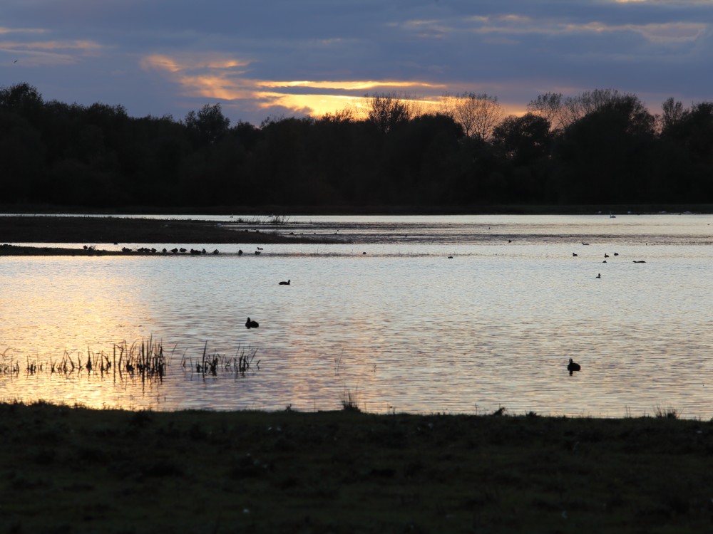 I am starting this blog with a quote which I feel has some of the words I wanted to say but wasn’t sure how to say&nbsp;them