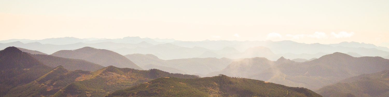 As much as I want to share this powerful image with you, I will keep it private so as to respect the intimacy between my mom and dad