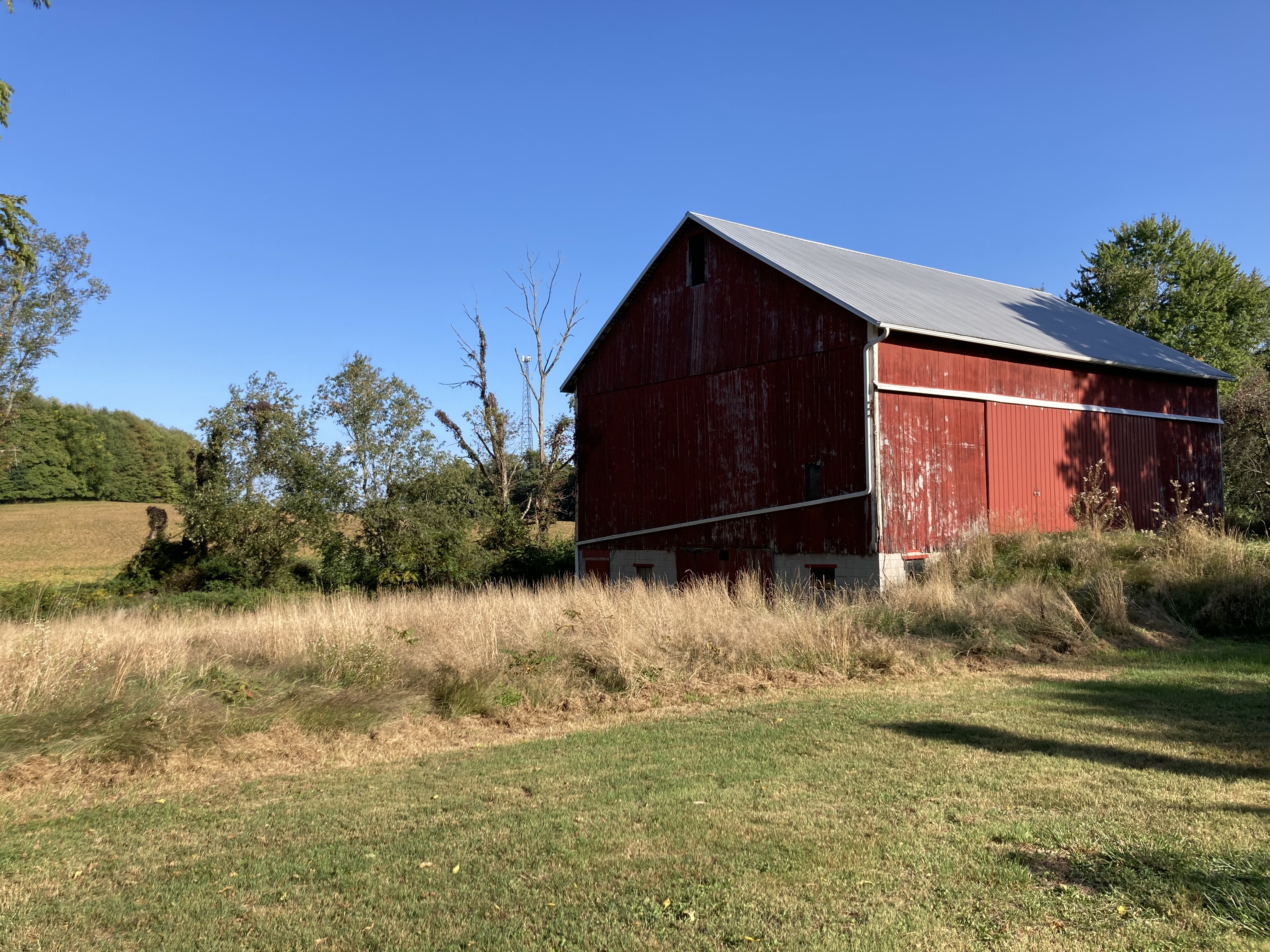 I’ve always been a helper, though, someone who wants to make things better, help those around me reach their potential, and generally leave things better than I found them