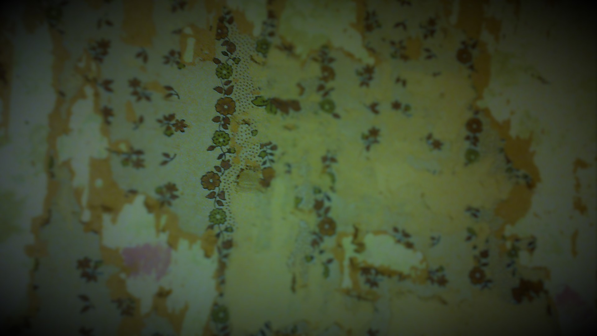 I want to have companions but I’ll go it alone if the time calls for it