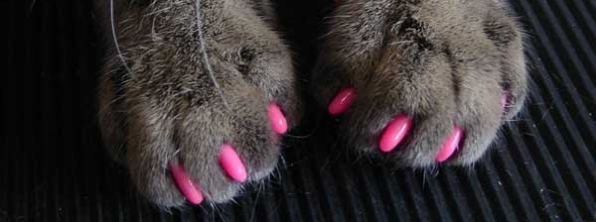 I want people not to ghost or breadcrumb … be an adult and be honest about things