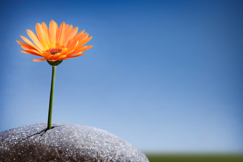 My desire to not want them is stronger than my desire to have them