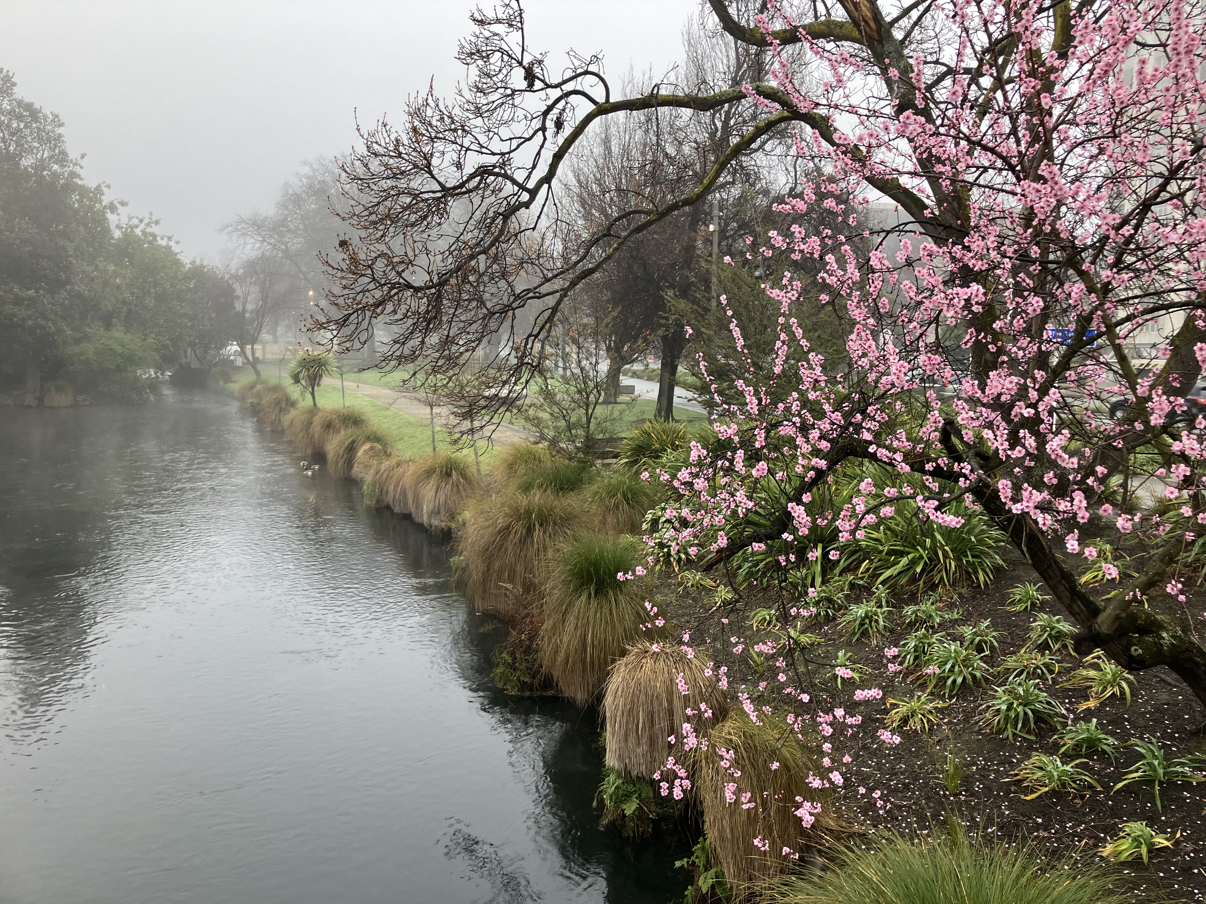 I want to remember that writing — and love — come first